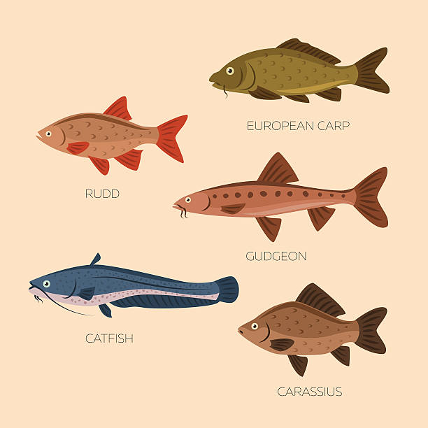 Cute cartoon flat fishes vector art illustration