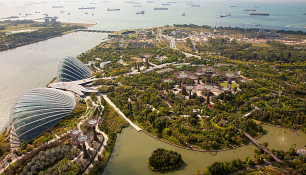istock Panoramic views of the botanical gardens in Singapore 592394246