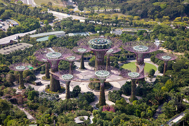 panoramablick auf die botanischen gärten in singapur - singapore city stock-fotos und bilder