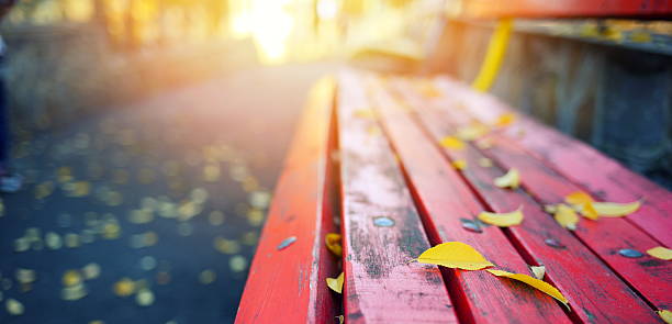 istock Autumn leaves on a park bench 592395170
