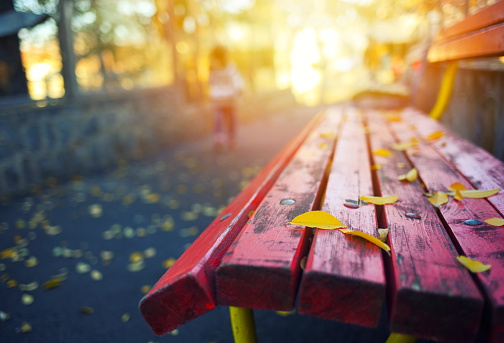 Autumn leaves on a park bench.