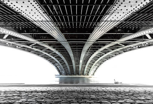 Swan under an old, steel bridge over the Rhone river in Lyon. Fine art concept.