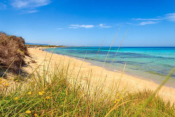 In the distance you can see the town Torre Canne.The park covers the territories of Ostuni and Fasano along eight kilometers of coastline.