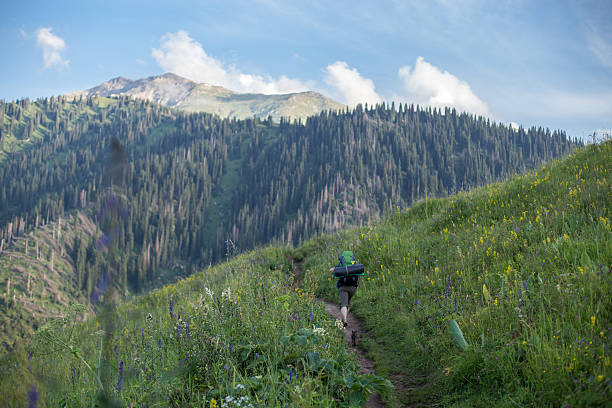 istock tourist hiking at mountain 592399392