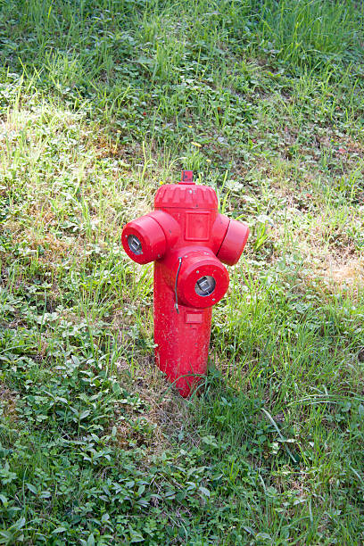 istock Fire hydrant in a park as a prevention of fire 592399528