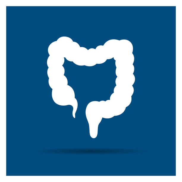 Vector Colon Icon Vector Illustration of a Colon Icon on a Blue Background colon stock illustrations