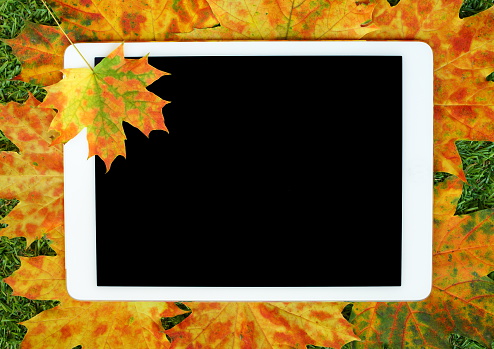 Digital white tablet and autumn leaves.