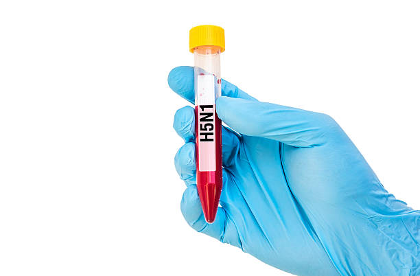 istock Test-tube with blood sample for H5N1 592406972