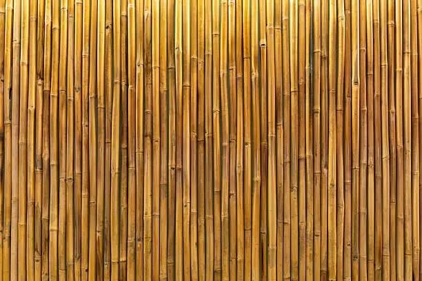 Photo of Golden bamboo wall or panel