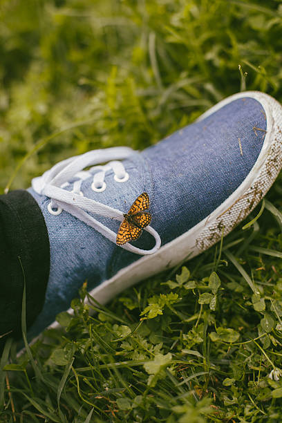 istock Beautiful butterfly on the shoe, harmony with nature 592408278