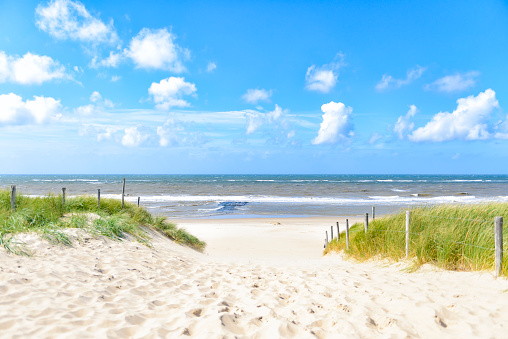 Path through the dunes leading to the beach during a beautiful summer day.