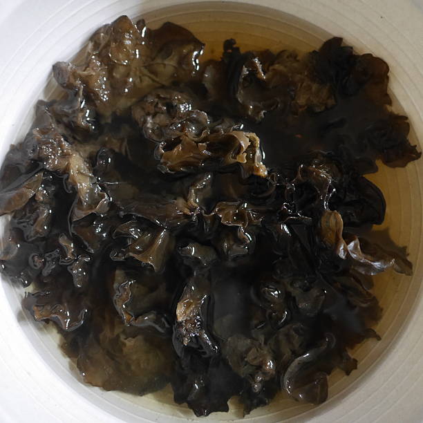 istock black tree fungus is edible mushrooms 592642984