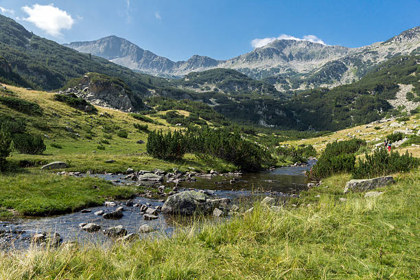 istock Banderishki Chukar Peak and mountain river, Pirin Mountain 592646140