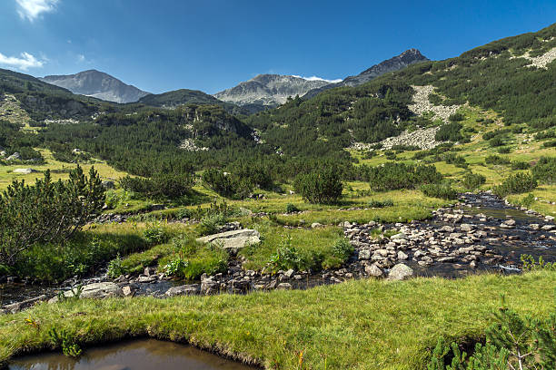 istock Panoramic view of Banderishki Chukar Peak and mountain river, Pirin Mountain 592646494
