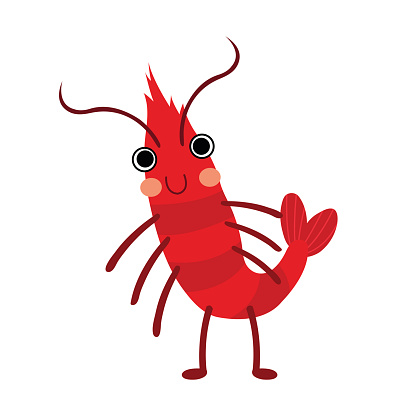 Shrimp animal cartoon character vector illustration.
