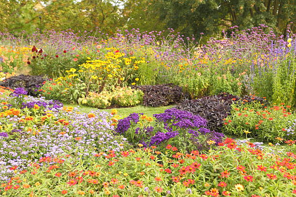 istock Flower garden in summer 592648688