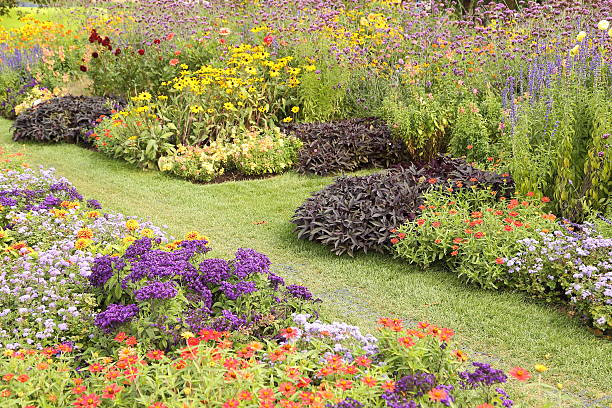 istock Flower garden in summer 592649862