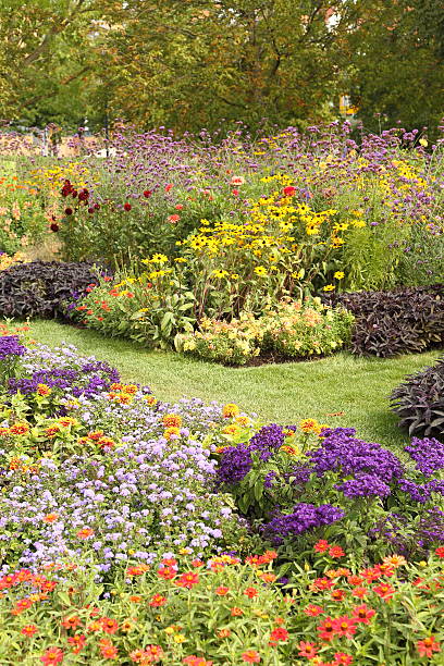 istock Flower garden in summer 592652352