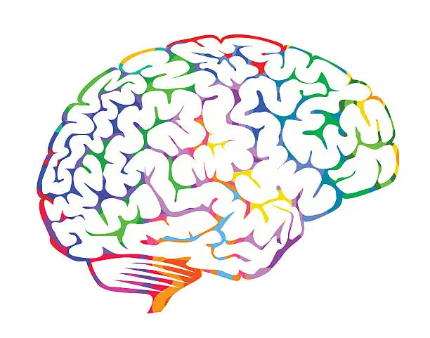 Vector illustration of Brainwaves