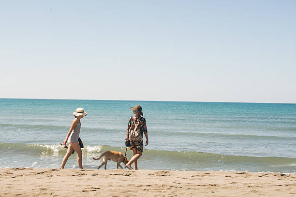 istock Friends walking on the beach 592653380