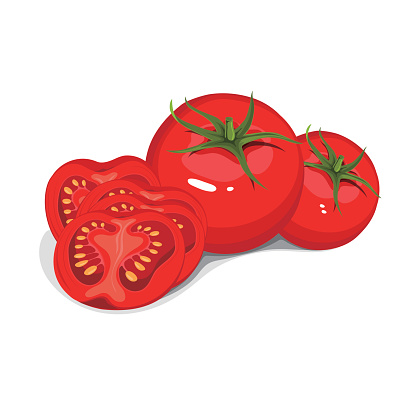 Vector collection of red ripe tomatoes