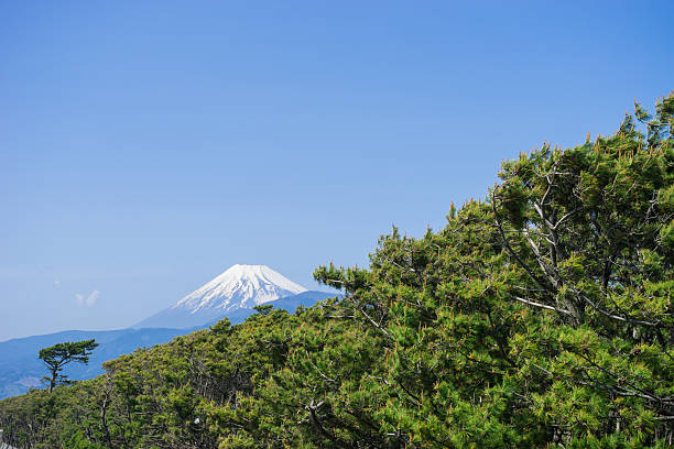 istock Senbonmatsubara and Mount Fuji 592655618