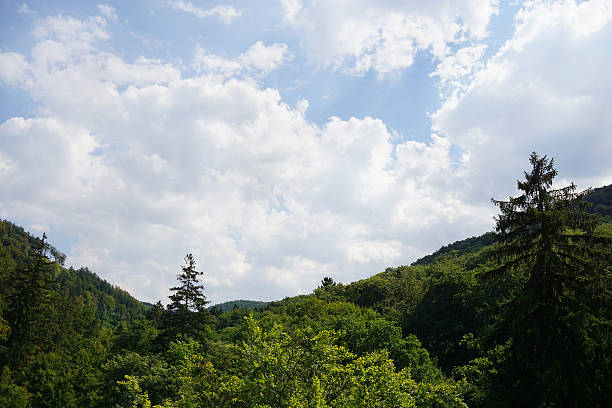 istock wooded mountain and cloudy sky 592656782