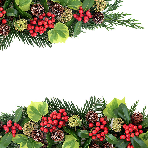 istock Traditional Border of Winter Flora 592657384