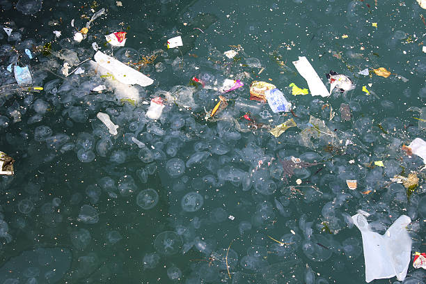 mar sujo com lixo - water pollution chemical garbage plastic - fotografias e filmes do acervo