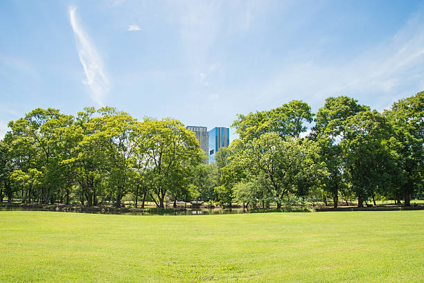 istock green grass field in big city park 592657458