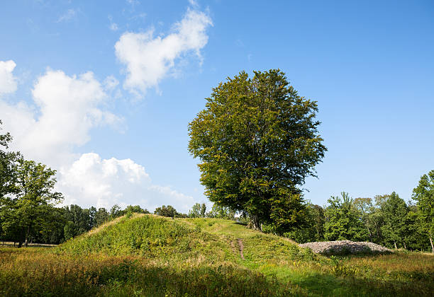 Borre burial mounds, Vestfold Norway Borre burial mounds, Vestfold Norway burial mound photos stock pictures, royalty-free photos & images
