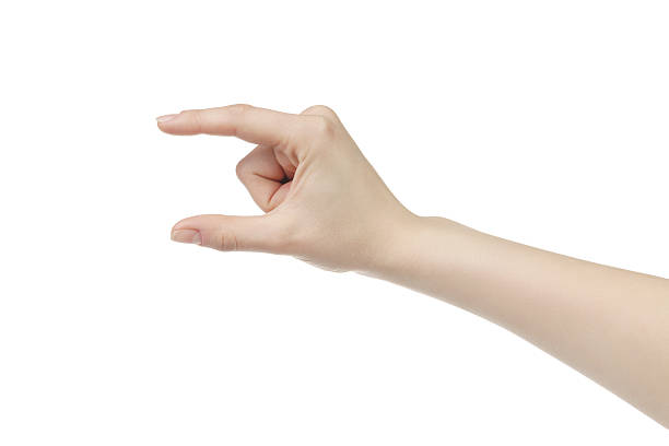 istock young female right hand to hold something small like card 592658254