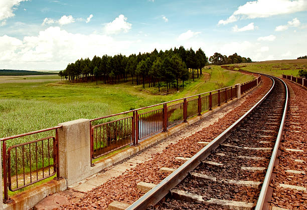 ligne de chemin de fer dans les prés - dullstroom photos et images de collection