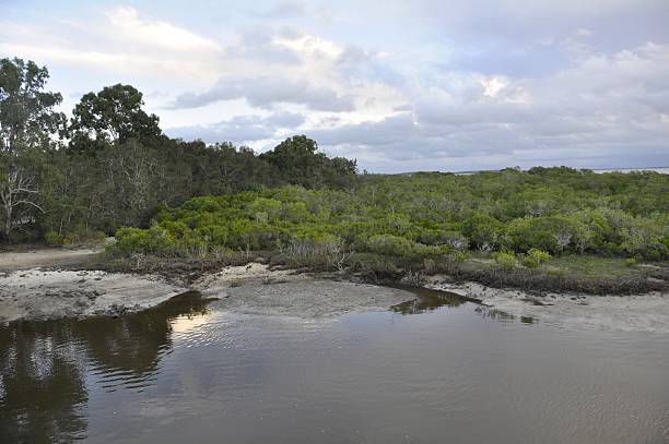 istock Wanggoolba Creek, Fraser Island 592659716