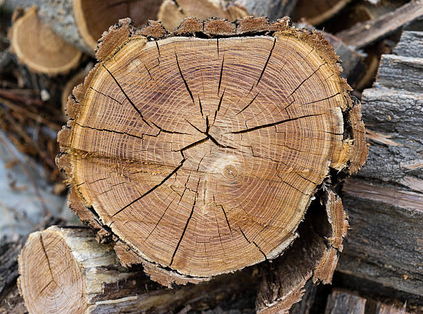 istock Firewood. Wooden blanks for heating in winter 592661386