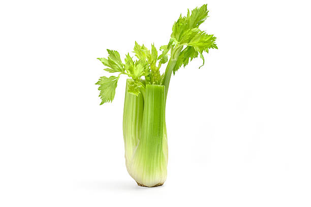 istock Bunch of celery sticks isolated on the white background 592664226