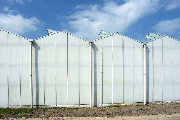 teil des modernen hohen gewächshauses gegen tiefblauen himmel - aluminum glass house window stock-fotos und bilder