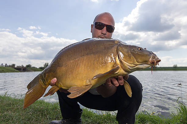 istock Angler with carp fishing trophy 592666098
