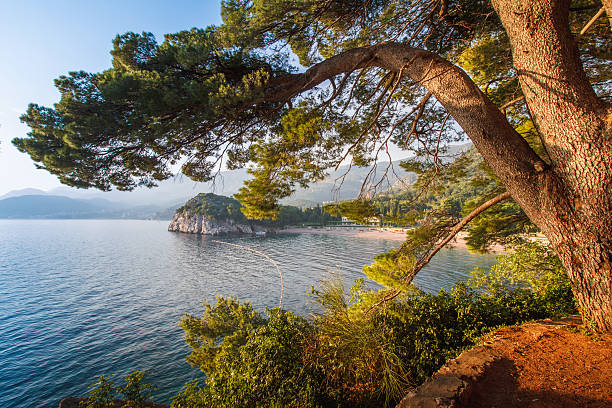 istock View from a rocky cliff into the sea and beach. 592668216