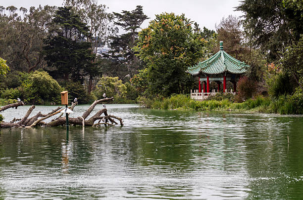 istock Chinese Pavilion in golden gate park 592670274
