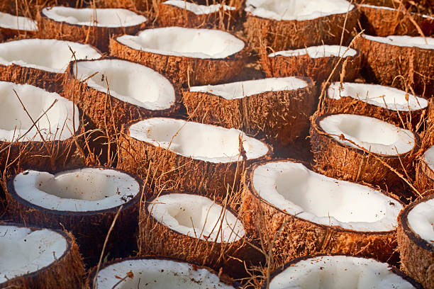 istock Lots of fresh tasty coconuts 592670422
