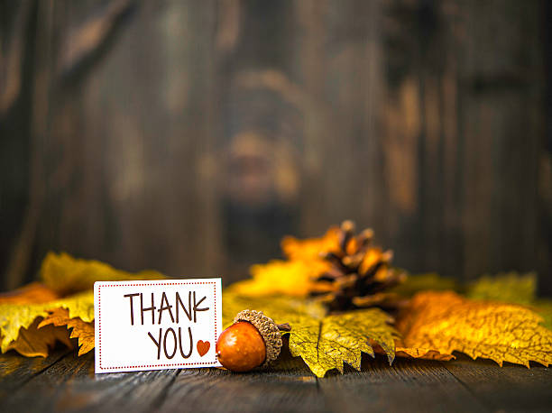 istock Fall leaves background with thank you message 592671146