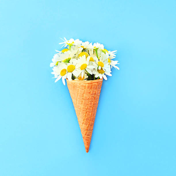 istock Ice cream cone with chamomiles flowers over blue colorful background 592673050