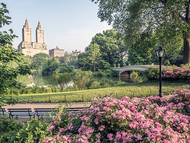 istock Central Park, New York City 592675270