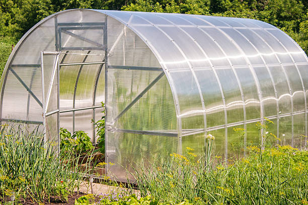 istock plastic greenhouse for growing vegetables 592677004