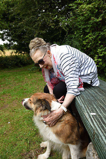 ст�аршая женщина, сидя за столом для пикника с собакой колли - image date one person happiness outdoors стоковые фото и изображения