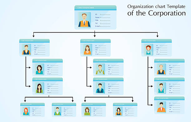 ilustrações, clipart, desenhos animados e ícones de modelo de gráfico organizacional da corporação. - organization chart flow chart chart organization