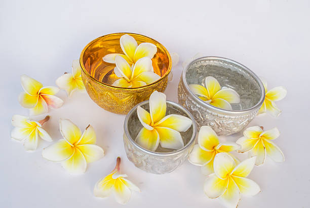 istock Dok champa flowers and Thai Silver Bowl  isolate 592682732