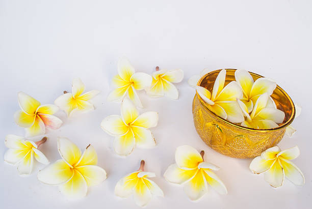 istock Dok champa flowers and Thai Silver Bowl  isolate 592683988