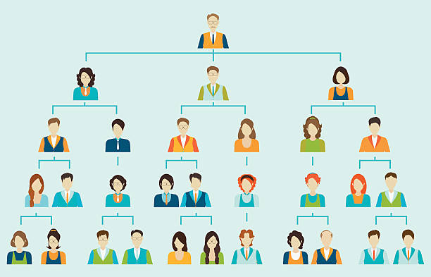 illustrations, cliparts, dessins animés et icônes de organisation chart corporate business de la hiérarchie. - flow chart ideas organization chart chart
